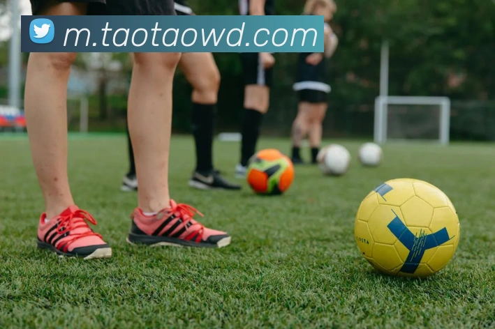 问鼎娱乐全站App